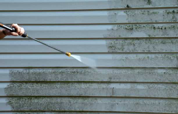 Best Pressure Washing Contractors  in Roosevelt Gardens, FL