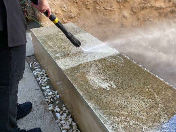 Best Residential Pressure Washing Services  in Roosevelt Gardens, FL